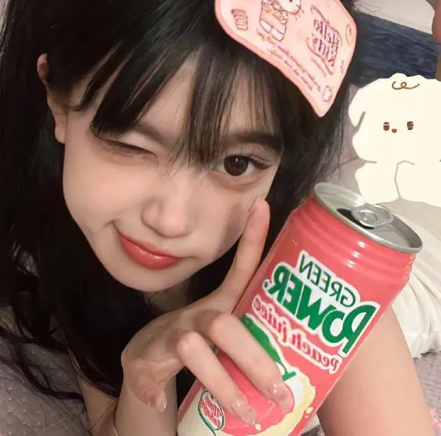 凤凰四重奏粤语